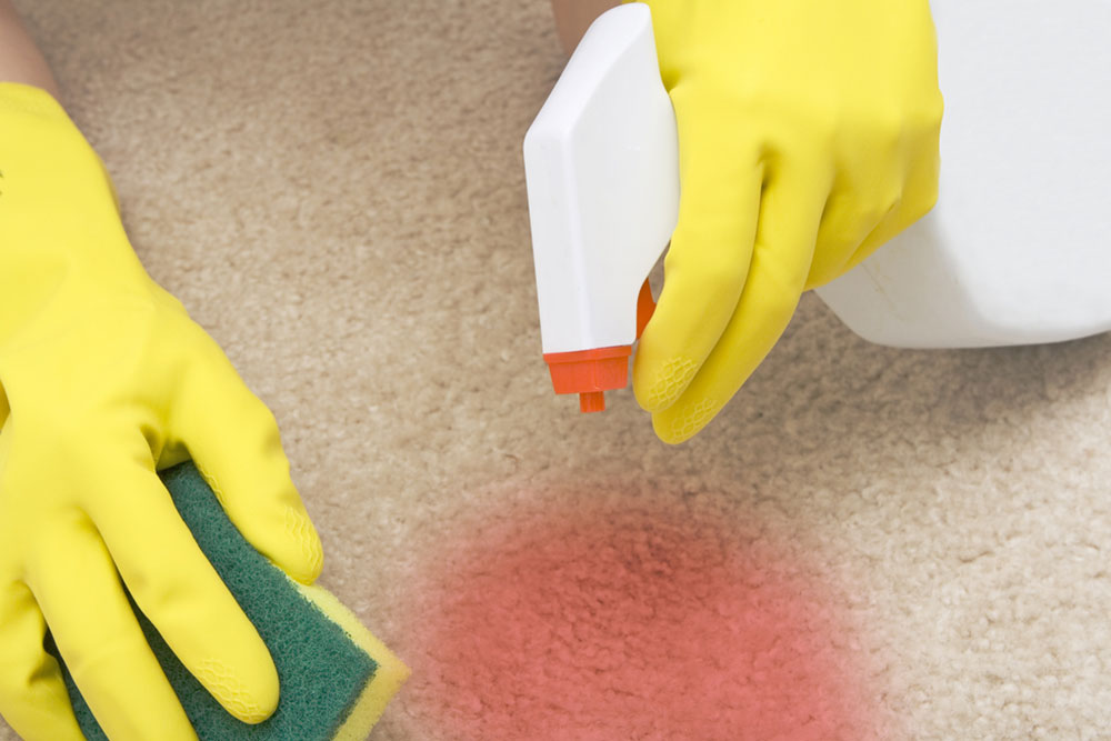 House Cleaning Camden NW1